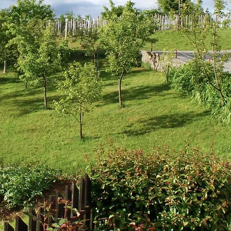 Frankovic Oda ve Kahvaltı 3*