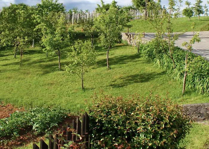 Frankovic Bed & Breakfast 3*